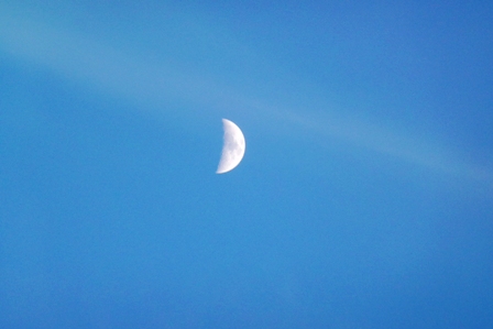 a0011534_2152037.jpg