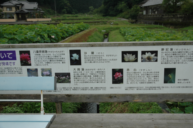 e0272335_2182460.jpg