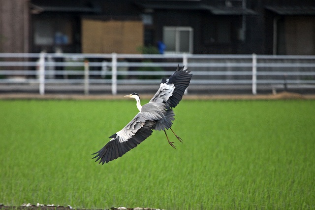 a0242438_22225.jpg