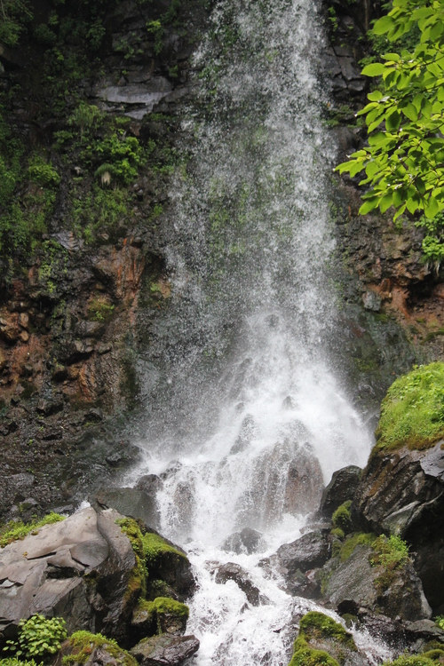 b0245048_6382691.jpg