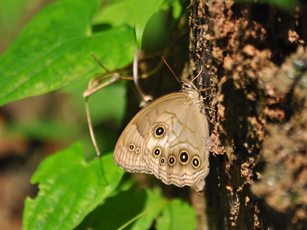 c0045352_20524861.jpg