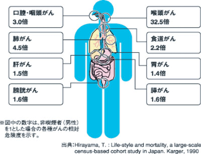 がんになりやすい人となりにくい人_a0044453_9452719.gif