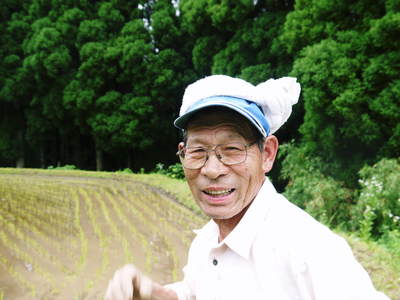 菊池水源棚田米 田植え後の様子_a0254656_18421313.jpg