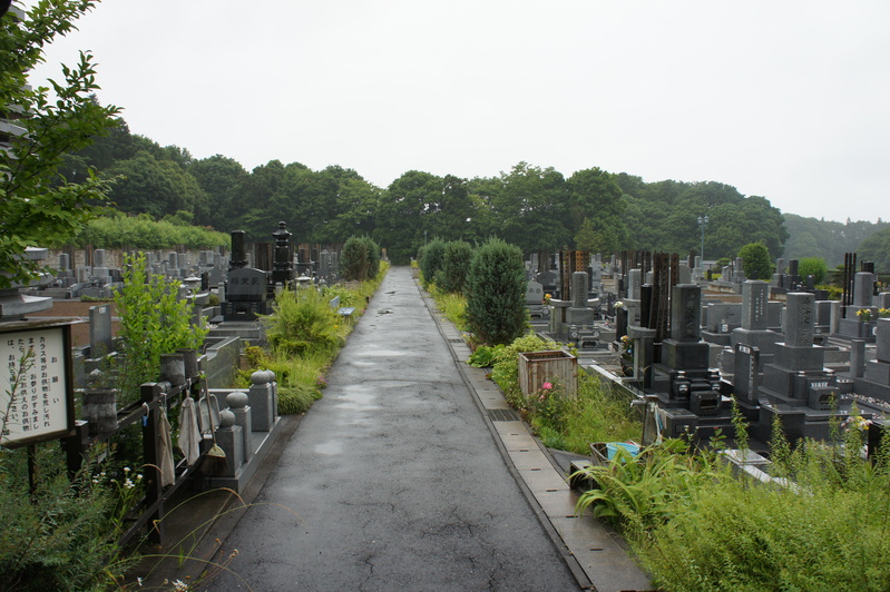 雨の日の過ごし方　　2012.6.16_e0223769_22233482.jpg
