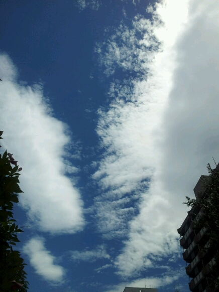 2012年6月第四週のつぶやき_b0116271_1625084.jpg