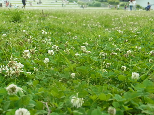 c0187076_9153756.jpg