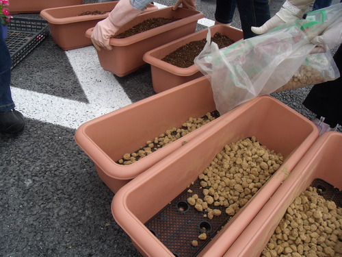 2012年6月23日 福島県相馬市 大野台第7応急仮設住宅_d0259876_2032463.jpg