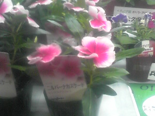 f0200477_2343342.jpg