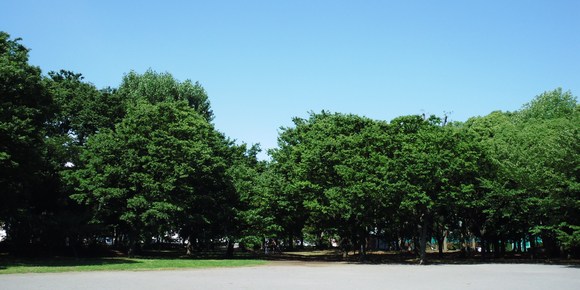 c0096685_22533792.jpg