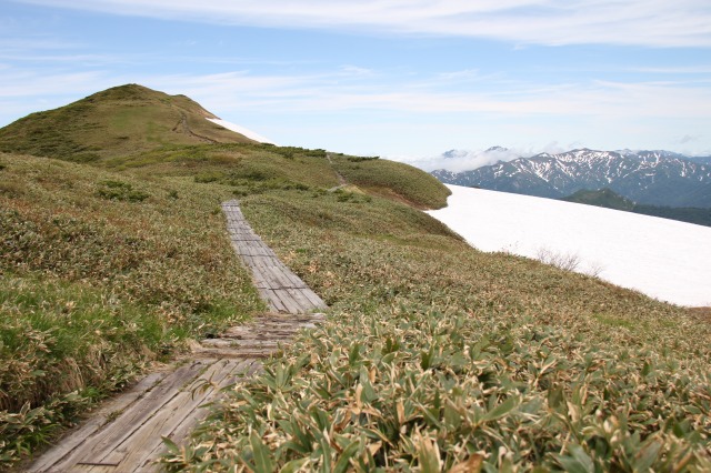 c0213096_159175.jpg