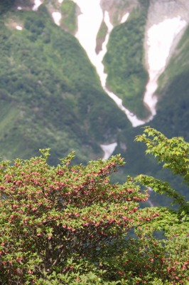 c0213096_161957.jpg