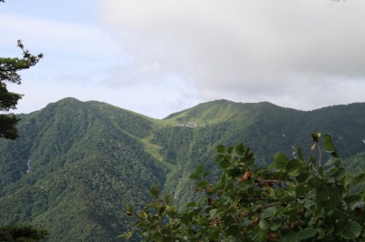 c0213096_165916.jpg