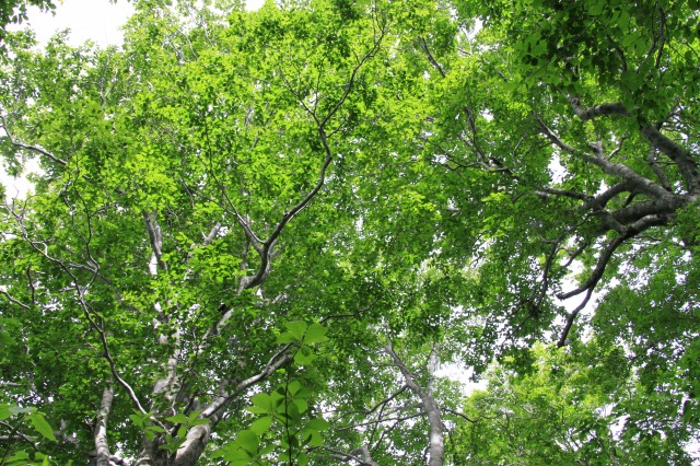 c0213096_1662639.jpg