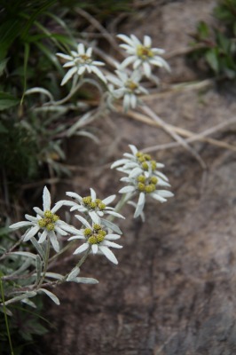 c0213096_1712442.jpg