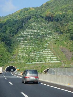 新東名高速_e0077899_21335356.jpg