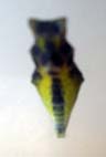 e0186500_15514346.jpg