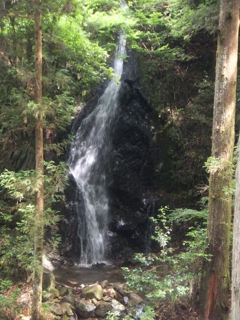 a0271502_1015096.jpg