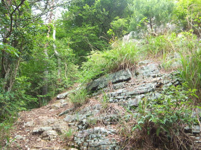 a0271502_9464853.jpg