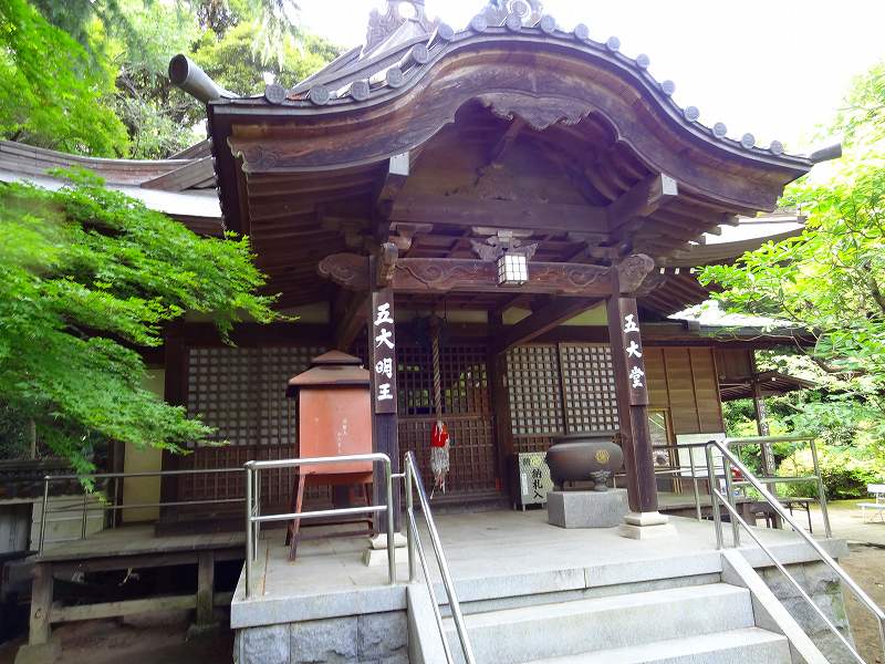 76番金倉寺　77番道隆寺　78番郷照寺　79番天皇寺　80番国分寺　81番白峯寺　82根香寺　83番一宮寺_b0124306_17333966.jpg