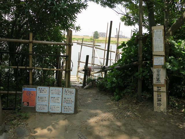 a0227507_23425685.jpg