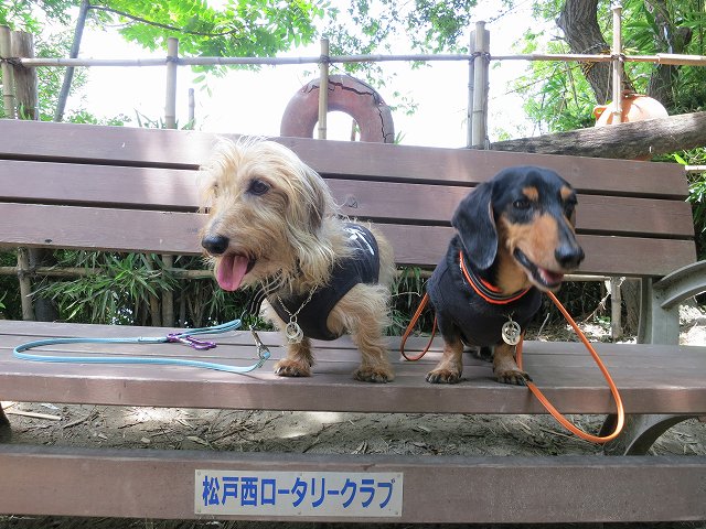 a0227507_23463456.jpg