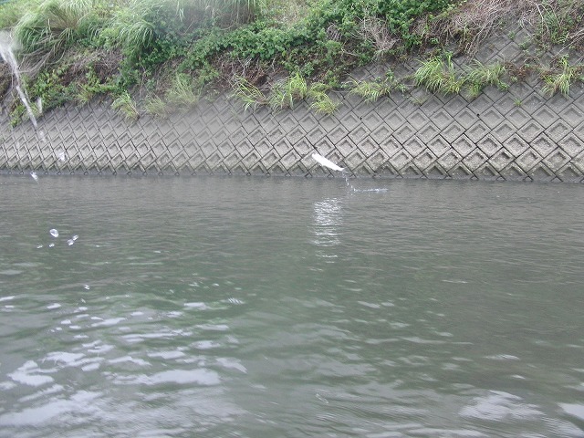 沼川をカヌーで下り、田子の浦港から小潤井川をどこまで上がれるか？_f0141310_7452616.jpg