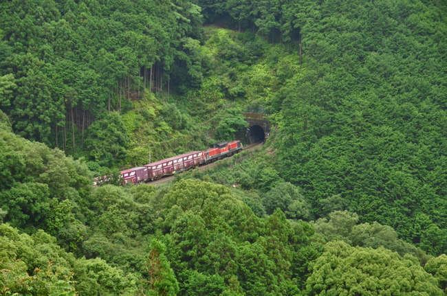 f0140720_171969.jpg