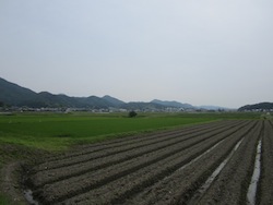 f0147922_16332692.jpg