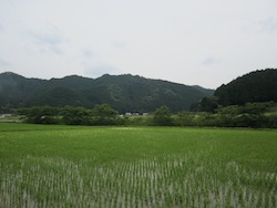 f0147922_1633580.jpg
