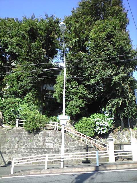 a0231827_1753512.jpg