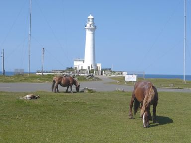 b0023328_22283851.jpg