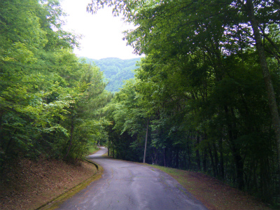 f0183141_21281510.jpg