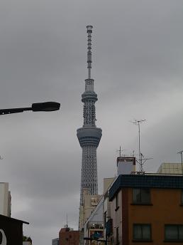 a0139242_53528.jpg