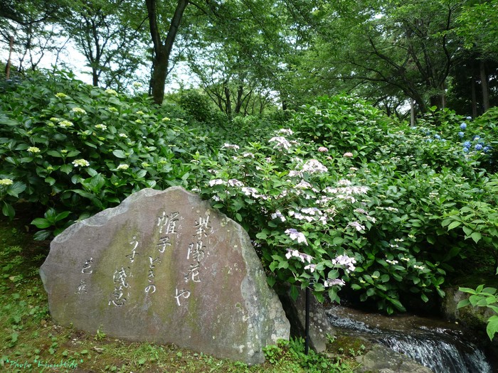 e0151944_1913440.jpg