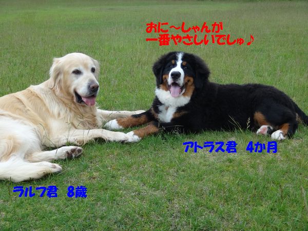 a0108146_21514399.jpg