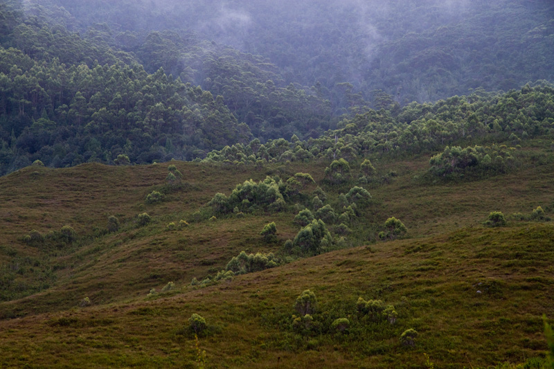 f0137354_8193744.jpg