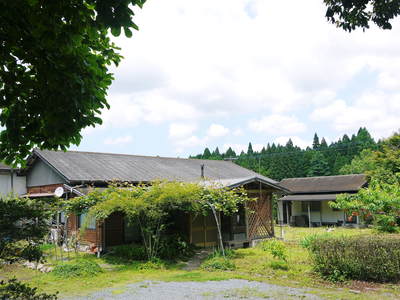 FLC日記 果実は順調!でも野菜が・・・_a0254656_101896.jpg