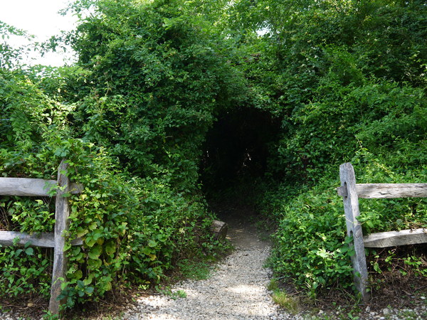 c0055857_8482574.jpg