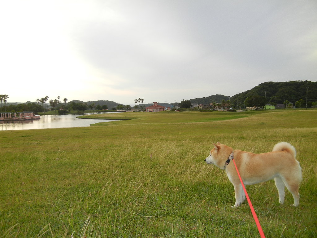 ’１２，６，２７（水）風邪をひいちゃいました！_f0060461_11331653.jpg