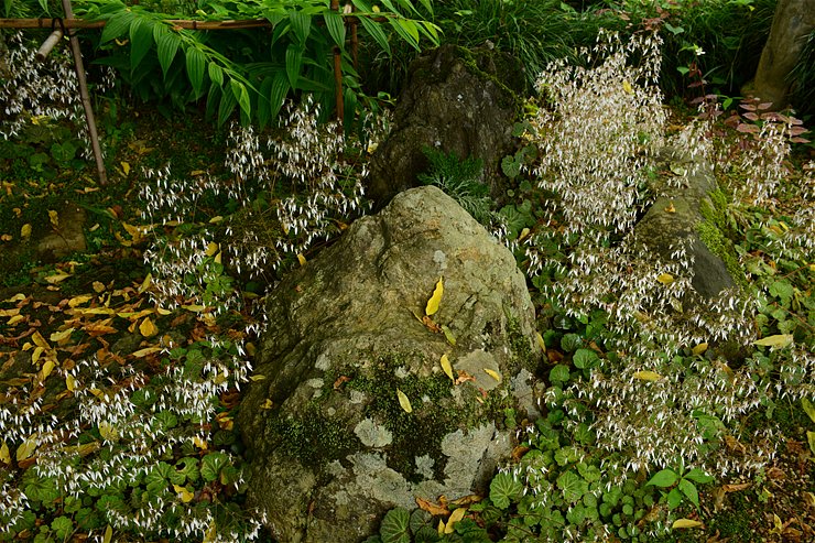 f0222161_13345960.jpg