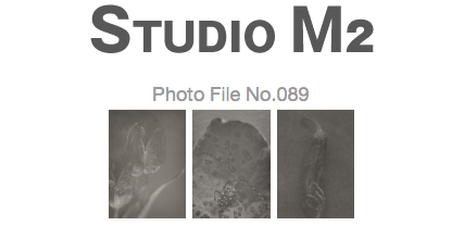 STUDIO M2 Photo File No.089「モノクローム　カミキリムシ」_a0002672_2471368.jpg