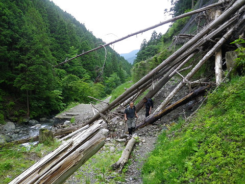 c0002874_7245.jpg