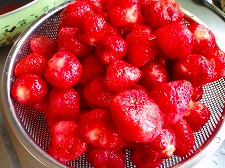 b0052375_1417597.jpg