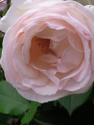 ++その中にあるものって?++_d0079988_11355676.jpg