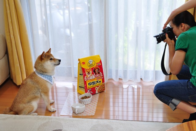 かぼちゃんだけずるいニャ!!_a0126590_22131789.jpg