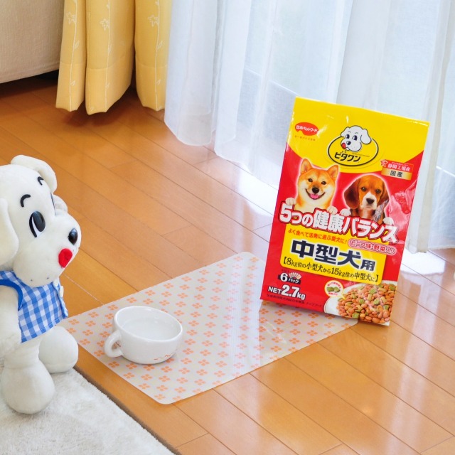 かぼちゃんだけずるいニャ!!_a0126590_22245790.jpg