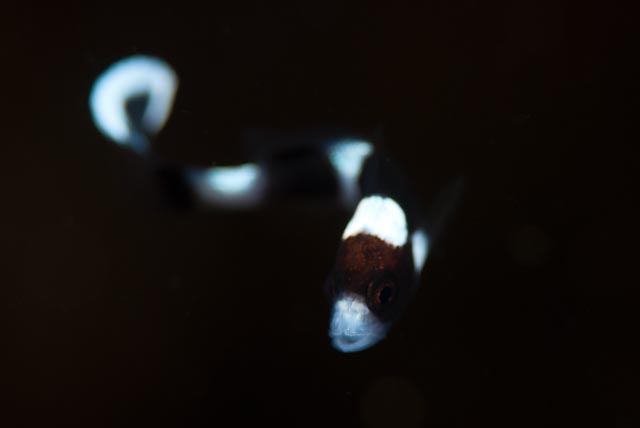 e0064291_23403153.jpg