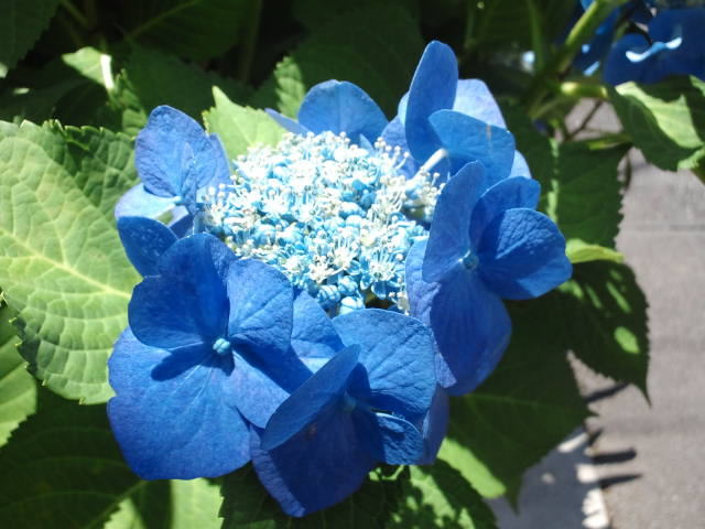 f0077595_1048850.jpg