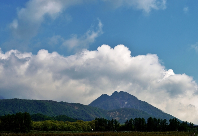 c0247096_8163691.jpg