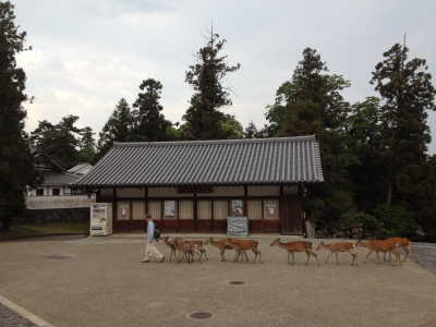 京都・奈良小旅行（その４）_f0119697_7141480.jpg